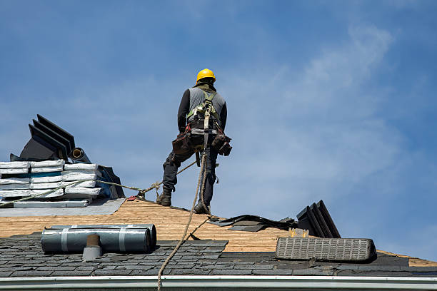 Professional Roof Replacement technician working in Twain, CA